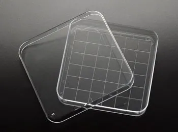 Simport Scientific - D210-16 - Square Petri Dish Polystyrene