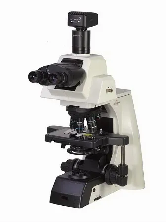 Western Scientific - Accu-Scope EXC-500 Series - EXC-500 - Accu-Scope EXC-500 Series Compound Microscope Binocular Head NIS Infinity Corrected Plan 4X  10X  40XR  100XR Oil 110 to 240V Mechanical Stage