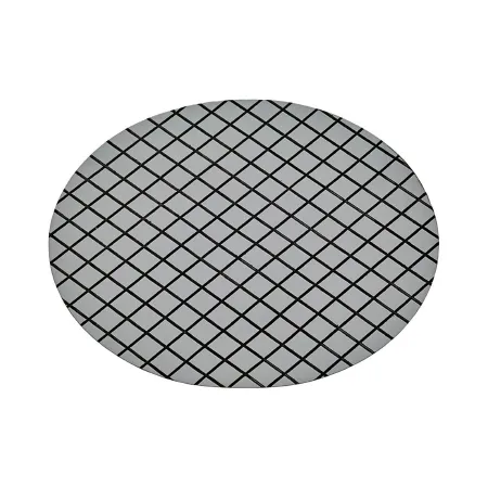 Thermo Scientific Nalge - Nalgene - DS0205-6045 - Nalgene Membrane Disc Filter Water Quality, 0.45 µm Membrane, 47 Mm Diameter, Gray For The Bacteriological Analysis Of Potable, Waste And Natural Waters In Accordance With The Membrane Filtration Procedure