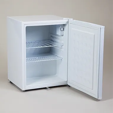 Health Care - 18572 - Refrigerator General Purpose 2.5 cu.ft. 1 Solid Door Automatic Defrost