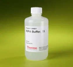 Fisher Scientific - Thermo Scientific Pierce - PI89901 - Cell Culture Reagent Thermo Scientific Pierce Ripa Buffer 0.1 To 1% 250 Ml