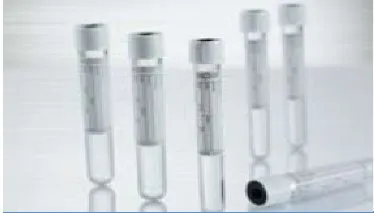 Greiner Bio-One - Vacuette - 454241 -  VACUETTE Venous Blood Collection Tube Plain 3 mL Pull Cap Polyethylene Terephthalate (PET) Tube