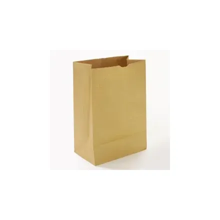 Lagasse - General - BAGSK1675 - Grocery Bag General Brown Kraft Paper 1/6 Bbl