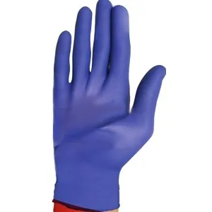 Flexal - Cardinal Health - N88TT21S - Feel Powder-Free Nitrile Exam Gloves