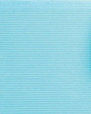 Crosstex - WUXBL - Towel, 2-Ply Paper, Poly, 19" x 16", Blue, 500/cs