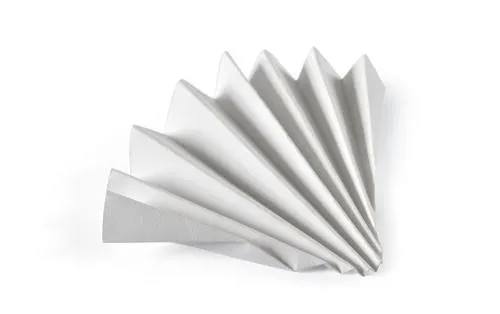 GE Healthcare - From: 10314744 To: 10314753 - Ge Healthcare Grade 1573 &frac12; Qualitative Filter Paper Folded (Prepleated), 125 mm