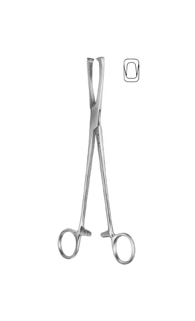 Integra Lifesciences - MeisterHand - MH30-1025 - Uterine Vulsellum Forceps Meisterhand Jacobs 8-1/2 Inch Length Surgical Grade German Stainless Steel Nonsterile Ratchet Lock Finger Ring Handle Straight Serrated Jaws With 2 X 2 Teeth